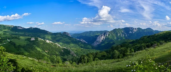 Güzel Dağ Manzarası Ile Freah Yeşil Bitki Örtüsü Romanya Havadan — Stok fotoğraf