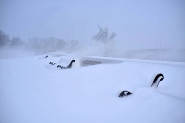 Paisagem Inverno Bancos Solitários Parque Sob Neve — Fotografia de Stock