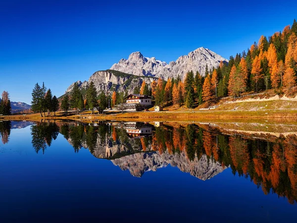 美丽的秋天风景 高山冰川湖和黄松树 安托诺湖 多洛米人 意大利 — 图库照片