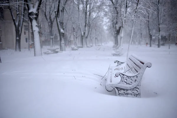 Paesaggio Invernale Panchine Solitarie Nel Parco Sotto Neve — Foto Stock