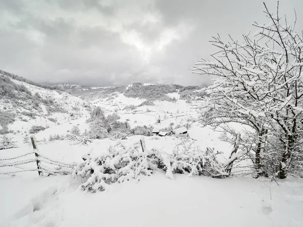 Hermoso Paisaje Montaña Invierno Fundatura Ponorului Provincia Hunedoara Rumania Vista — Foto de Stock