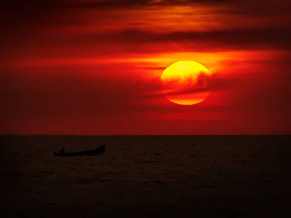 Φόντο Ψηφιακή Φωτογραφική Μηχανή Olympus Εικόνα Αρχείου