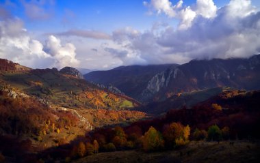Romanya 'nın sonbahar sabahı Karpat dağlarının kırsal manzarası