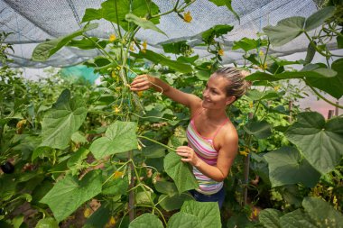 genç kadın malzeme çekme taze sebze yaz bahçesinde gülümseyen