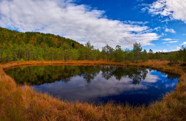Tinovul Mohos - bir yanardağ, Sf. Ana Gölü, Romanya yanında çeşitli nadir bitkiler botanik rezervasyon görüntüden