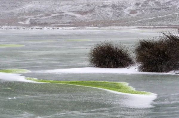 Donau Delta Landscapein Winter — Stockfoto