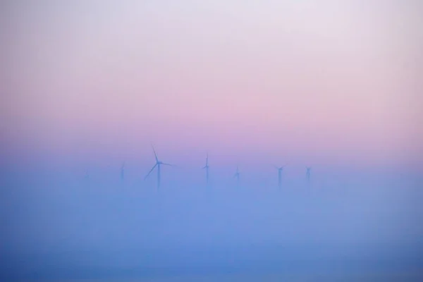Wind Turbines Field Foggy Morning — Stock Photo, Image