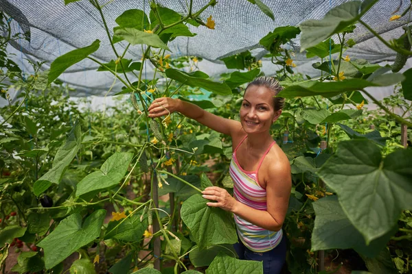 若い女性狩り夏の庭で新鮮な野菜を笑顔 — ストック写真