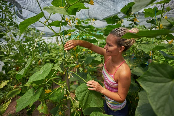 若い女性狩り夏の庭で新鮮な野菜を笑顔 — ストック写真