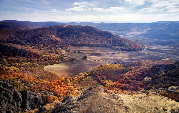 Inspirierende Luftlandschaft Herbstlicher Wald Und Felder Drohnenblick Inspirierendes Herbstlandschaftspanorama Aus — Stockfoto