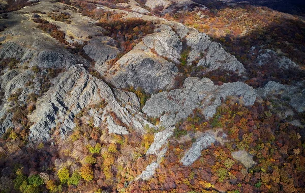 鼓舞人心的空中景观 秋季森林和田野 无人机的观点 来自罗马尼亚多布罗盖亚的令人鼓舞的秋季景观全景 — 图库照片