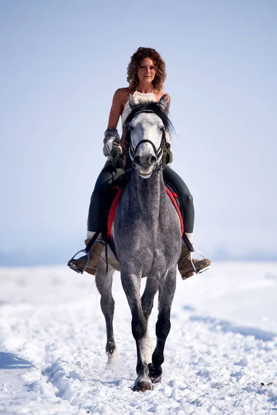 Giovane Donna Cavallo All Aperto Inverno — Foto Stock