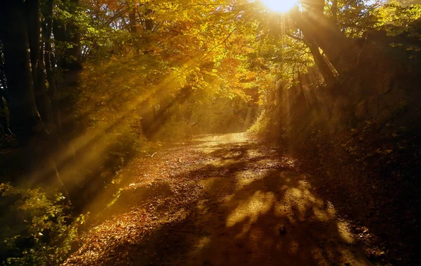 Bela Manhã Nebulosa Int Ele Montanhas Com Luz Solar Passando — Fotografia de Stock