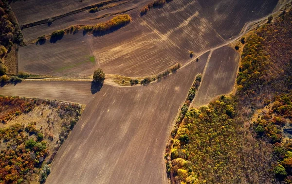 Inspirational aerial landscape, autumn forest and fields, drone point of view. Inspiring autumn  landscape panorama from Dobrogea, Romania