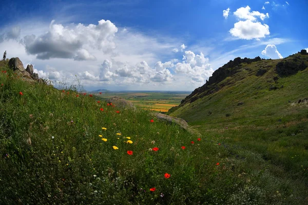 Панорамный Вид Поля Весной Облачным Небом Доброгея Румыния — стоковое фото
