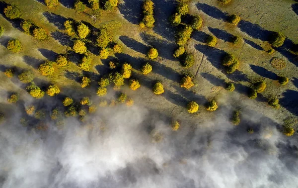 Vista Aérea Las Montañas Los Cárpatos Mañana Otoño Rumania — Foto de Stock