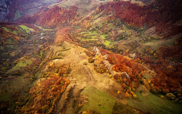 Vista Aérea Las Montañas Los Cárpatos Mañana Otoño Rumania — Foto de Stock