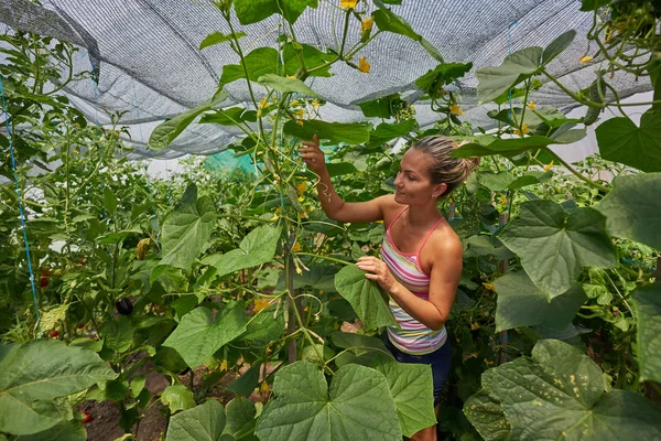 若い女性狩り夏の庭で新鮮な野菜を笑顔 — ストック写真