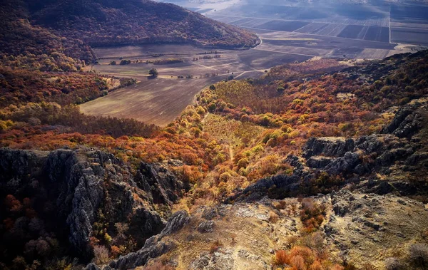 Paisaje Aéreo Inspirador Bosque Otoñal Campos Punto Vista Drones Inspirador — Foto de Stock