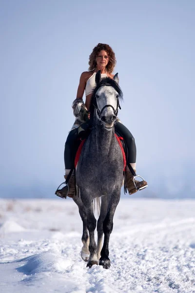 Mladá Žena Koni Venkovní Zimě — Stock fotografie