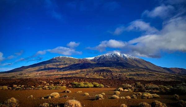 Teide Nationalpark Roques Garcia Teneriffa Kanarieöarna — Stockfoto