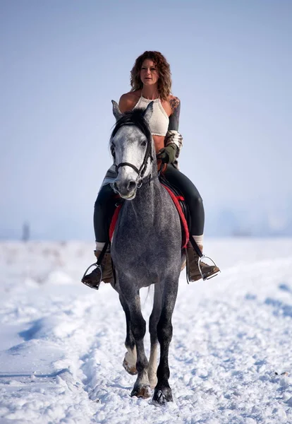 young woman riding horse outdoor in winter