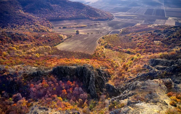 Inspirational aerial landscape, autumn forest and fields, drone point of view. Inspiring autumn  landscape panorama from Dobrogea, Romania