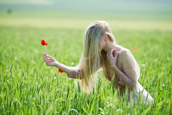 Gyönyörű Lány Pipacsos Tavaszi Zöld Mezőn — Stock Fotó