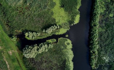 Tuna Nehri Parches Köyü, Dobrogea, Romanya'nın havadan görünümü