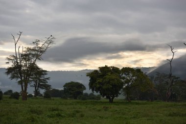 Tanzanya dramatik gökyüzü ile Ngorongoro krateri yakınlarında depresyon doğal görünümünde