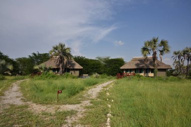 Safari kampı Serengeti, Afrika'da kamp lüks tented