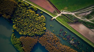 Romanya 'nın Dobrogea kentinde yazın Tuna Nehri kıyısının havadan manzarası