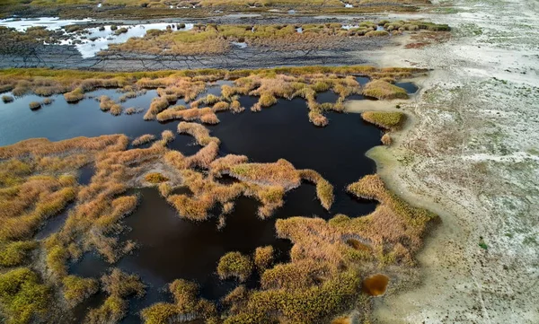 Vue Aérienne Région Sulina Dobrogea Roumanie — Photo