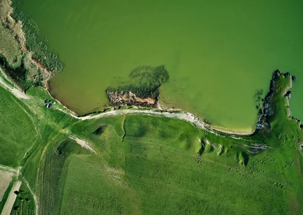 Vista Aérea Orilla Del Río Danubio Verano Dobrogea Rumania — Foto de Stock