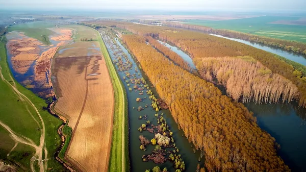 Widok Lotu Ptaka Brzeg Dunaju Dobrogea Rumunia — Zdjęcie stockowe