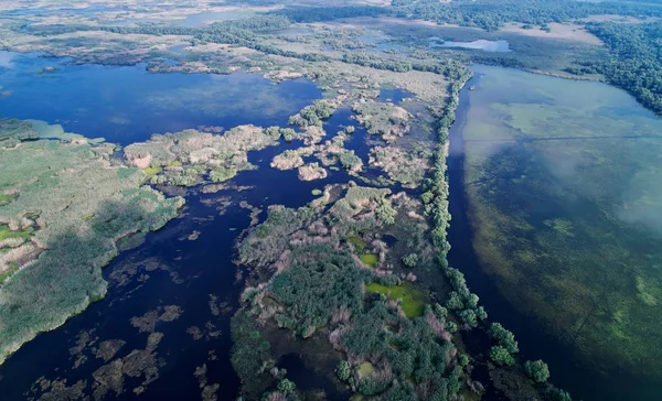 Vue Aérienne Danube Dans Village Parches Dobrogea Roumanie — Photo