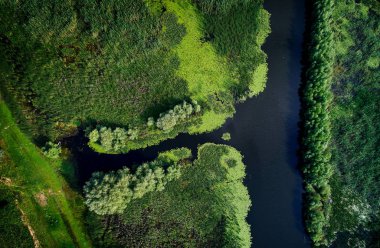 Tuna Nehri Parches Köyü, Dobrogea, Romanya'nın havadan görünümü