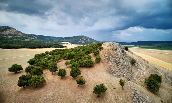 Luftaufnahme Der Dobrogea Felder Sommer Rumänien — Stockfoto