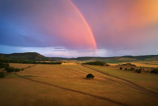 Vista Panorámica Aérea Los Campos Dobrogea Verano Rumania — Foto de Stock