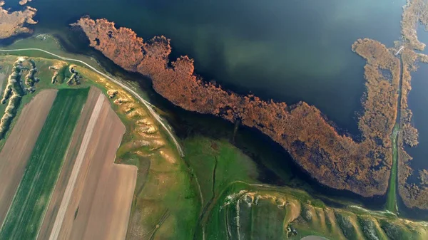 Вид Дунайский Берег Летом Доброгея Румыния — стоковое фото