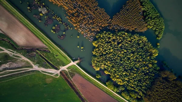 Widok Lotu Ptaka Brzeg Dunaju Dobrogea Rumunia — Zdjęcie stockowe