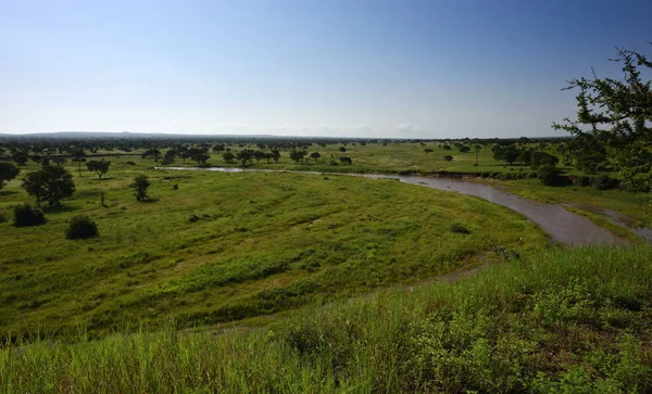 Kilátás Nyílik Folyóra Tarangire Nemzeti Park Tanzánia — Stock Fotó