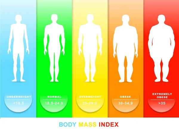 Ilustração Vetor Índice Massa Corporal Silhuetas Com Diferentes Graus Obesidade — Vetor de Stock