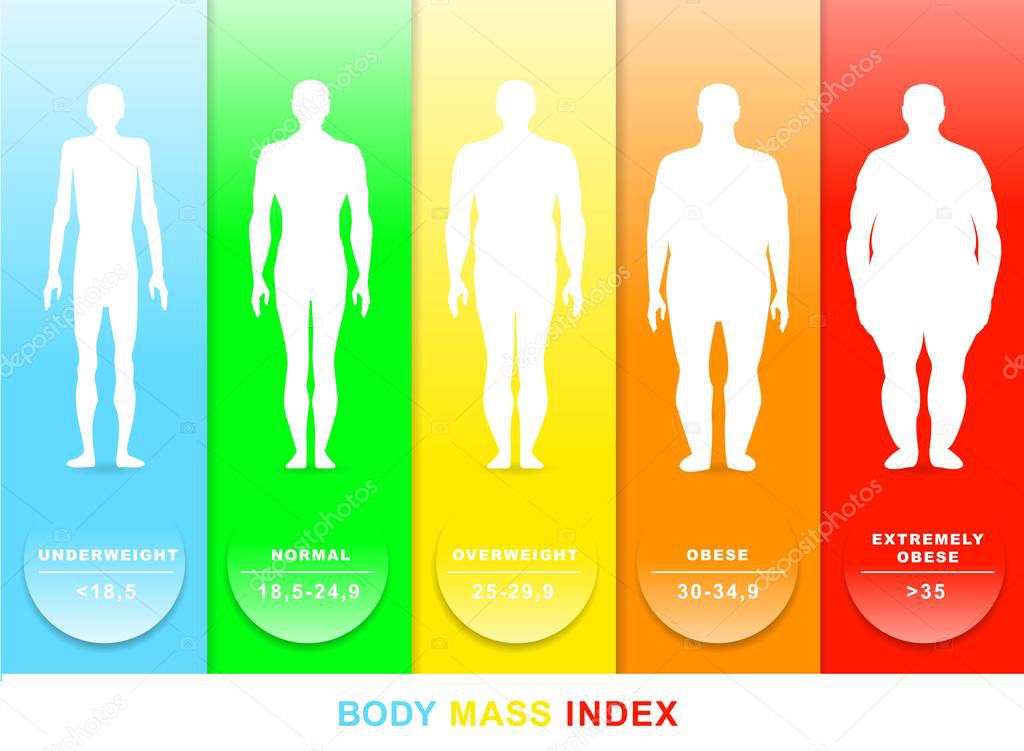 Body mass index vector illustration. Silhouettes with different obesity degrees. EPS 10