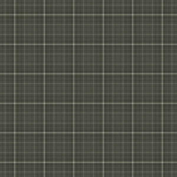 Neutral Grey Plaid Pattern — стоковое фото