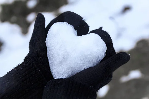 Karların kalbi ellerdedir. Karların kalbi, köknar dalının arka planında yatar.