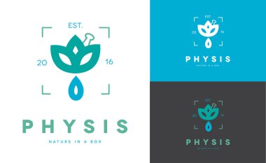 Bir çiçek gelen bir damla en az logo tasarımı. Yunanca adı Physis doğa anlamına gelir. Doğal ürünler, yağlar veya Homeopatik Tıp Için idealdir 