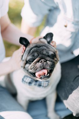 Güzel genç çift parkta güneşli bir günde, sevgi dolu ve mutlu. Yürümek ve köpekle gülmek. Doğada çekim düğün öncesi. Casual tarzda işleme giyim ve Avrupa