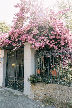 Güzel Sokaklar ve Napoli, tarihi yerleri ve heykeller şehrin avlusu. Anıtlar ve eski İtalya mimarisi. Şehir, türler ve turistik yerler Panoraması. Gece ve gündüz şehri turistler olmadan.