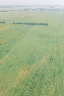 Bulutların üzerinde uçan irtifada uçaktan görüntüleyin. Gün batımı gökyüzünde uçak penceresinden bir yolculuk. Macera.